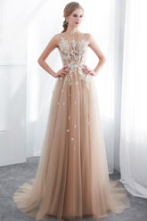 Long A-line Sleeveless Appliqued Lace Tulle Floor Length Evening Dresses
