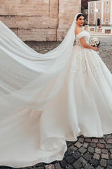 Elegant Plus Size Ball Gown Off the Shoulder Tulle Lace Long Wedding Dresses