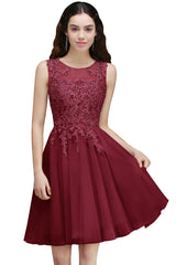 A-line Scoop Neck Tulle Lace Short Homecoming Dress with Appliques Lace