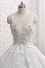 Elegant Long Ball Gown Tulle Court Train Wedding Dress with Appliques Lace