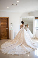 Gorgeous Long Ball Gown Sweetheart Tulle Lace Open Back Wedding Dress with Sleeves