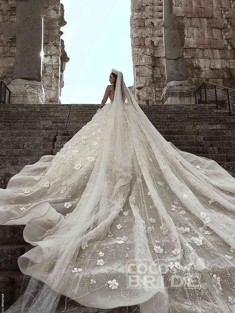 Luxury Long V Neck Ball Gown Tulle Lace Wedding Dresses with Sleeves