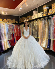 Gorgeous Long Ball Gown V-neck Appliques Lace Backless Floor Length Train Wedding Dress