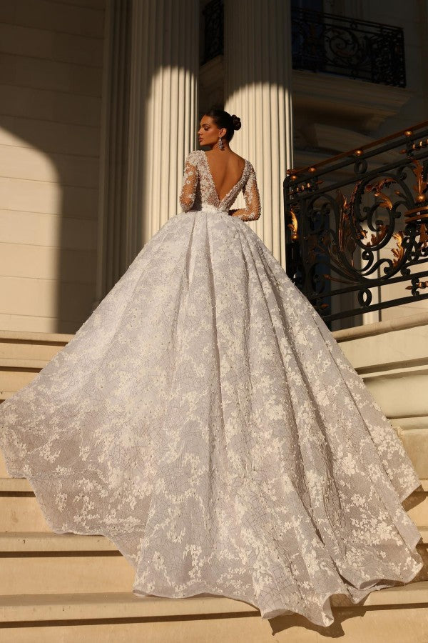 Long Sleeves Ball Gown V-neck Tulle Lace Appliques Backless Wedding Dresses