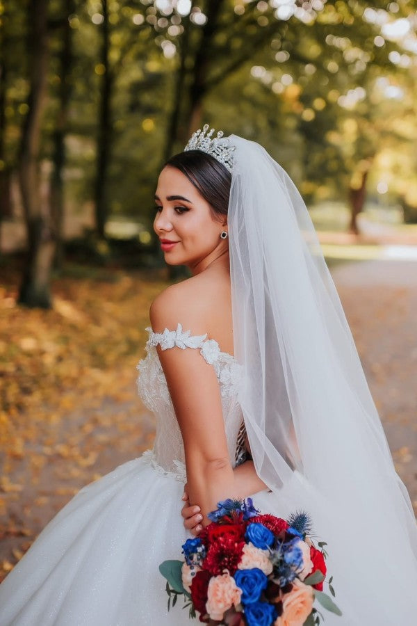 Chic Long Off the Shoulder Sleeveless V-neck Ball Gown Wedding Dress with Appliques
