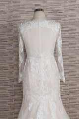 Chic Plus Size Long Sleeves V-neck Appliques Mermaid Wedding Dress