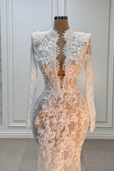 V-Neck Long Sleeve Mermaid Lace White Wedding Dress