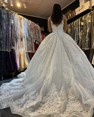 Gorgeous Long Ball Gown V-neck Appliques Lace Backless Floor Length Train Wedding Dress