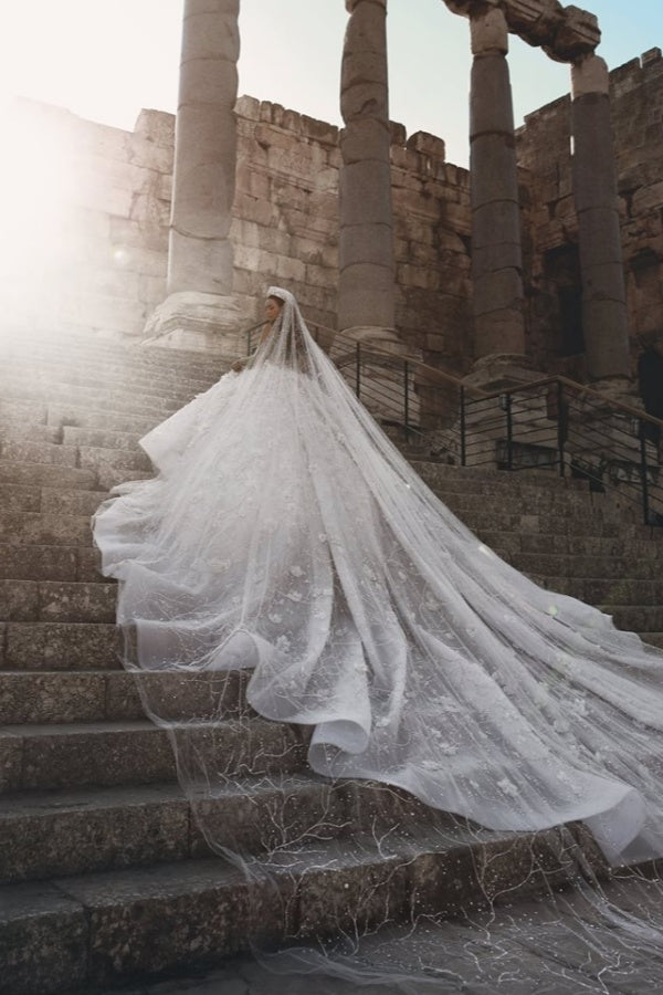 Long Ball Gown Beading Floral Lace Tulle Wedding Dresses with Sleeves
