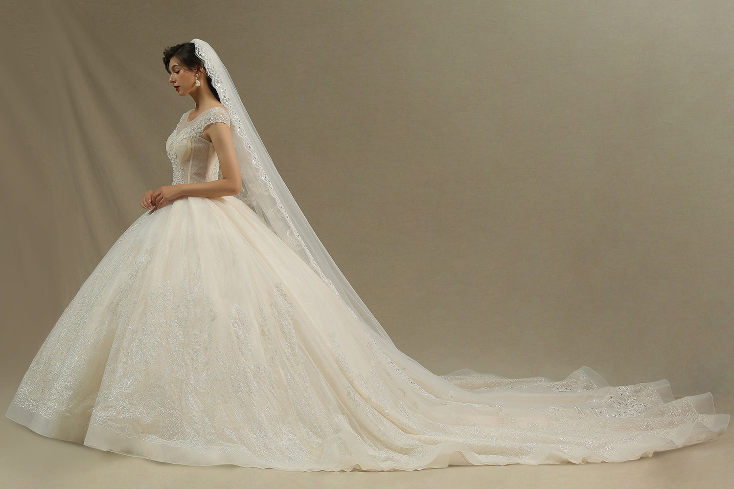 Luxury Long Ball Gown Tulle Lace Appliques Garden Wedding Dresses with Cap Sleeve