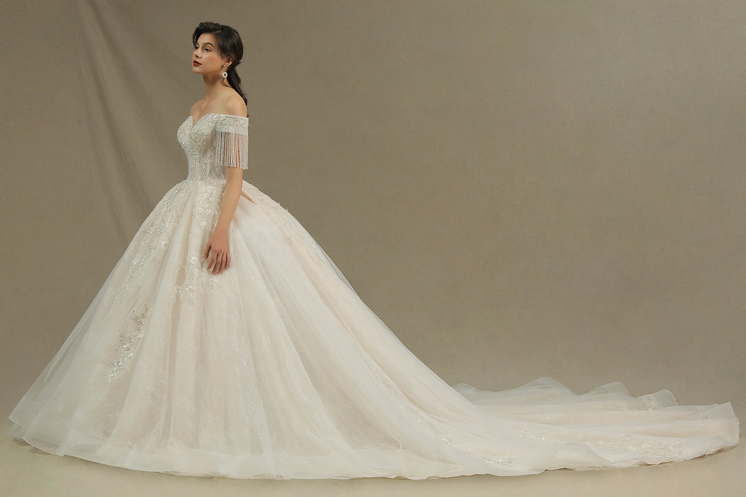 Elegant Long Appliques Beads Off the Shoulder Tassel Ball Gown Wedding Dress