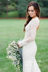 Elegant Mermaid Backless Long Sleeves V-neck Lace Wedding Dress