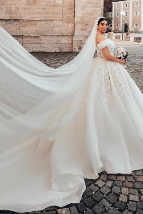 Elegant Plus Size Ball Gown Off the Shoulder Tulle Lace Long Wedding Dresses