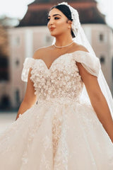 Elegant Plus Size Ball Gown Off the Shoulder Tulle Lace Long Wedding Dresses
