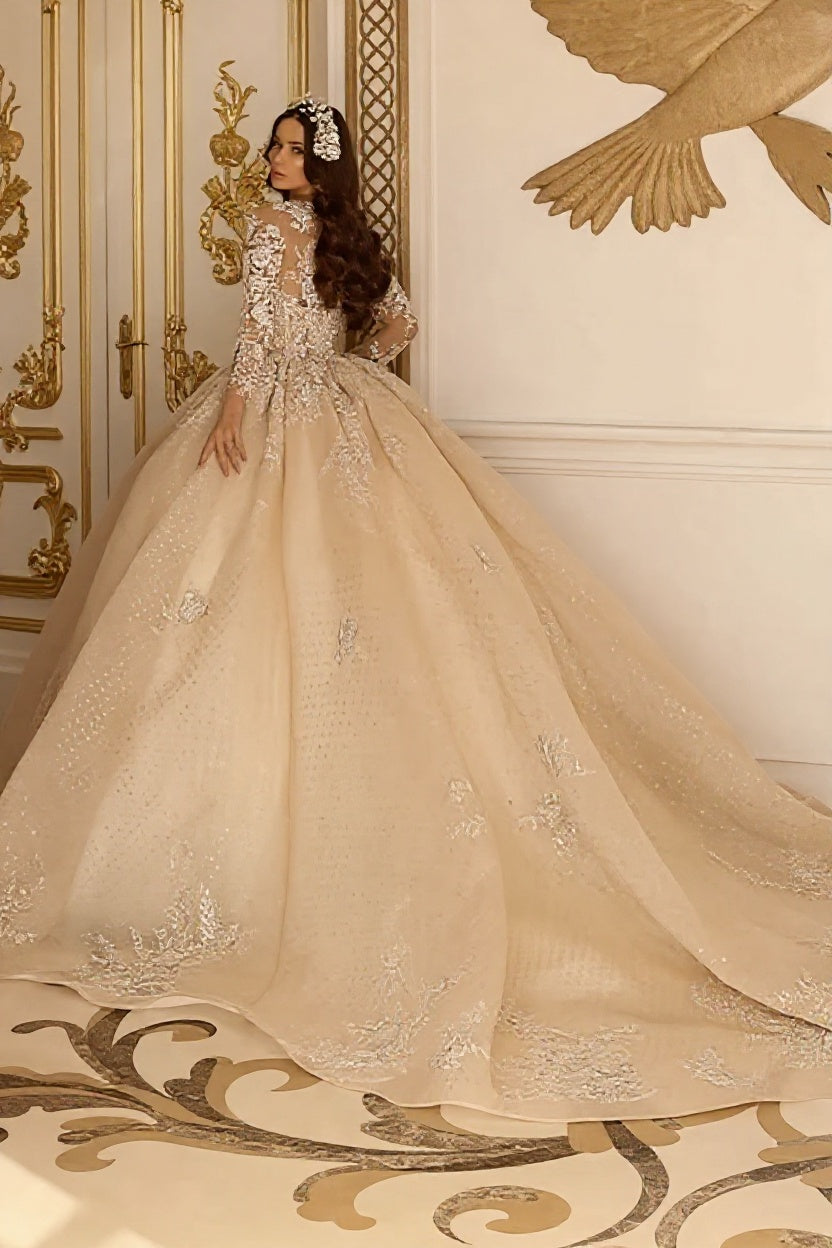 Gorgeous Ball Gown Long Sleeves Floor Length Wedding Dress with Lace Appliques