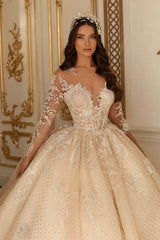 Gorgeous Ball Gown Long Sleeves Floor Length Wedding Dress with Lace Appliques
