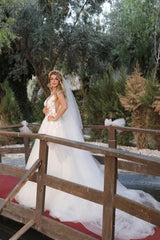 Gorgeous Long A-line V-neck Tulle Lace Wedding Dress with Appliques