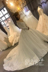 Gorgeous Long Sleeves V Neck Tulle Lace Ball Gown Wedding Dresses