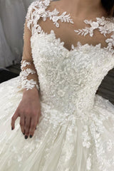 Elegant Long Appliques Lace Tulle Ball Gown Ivory Wedding Dresses with Sleeves
