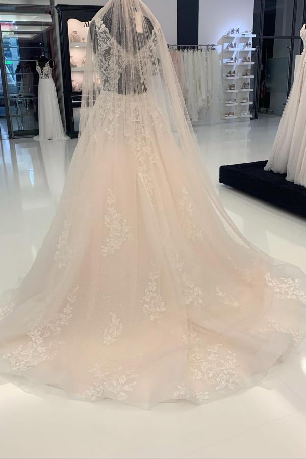 Elegant A-line V-neck Tulle Lace Backless Long Wedding Dresses