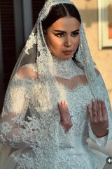 Plus Size High Neck Long Sleeve Lace Mermaid Wedding Dress with Detachable Train