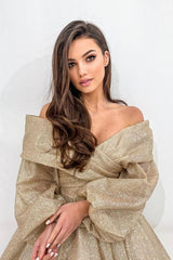Long Sleeve Off The Shoulder A Line Tulle Party Dress