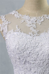 Long Appliques Lace Tulle A-line Wedding Dress